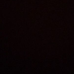 Meet your Posher, Jaylie